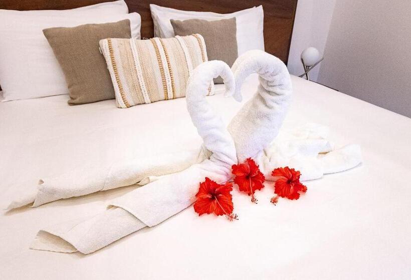 适合残疾人士使用的带超级大床的标准间, Aves Hotel Montezuma