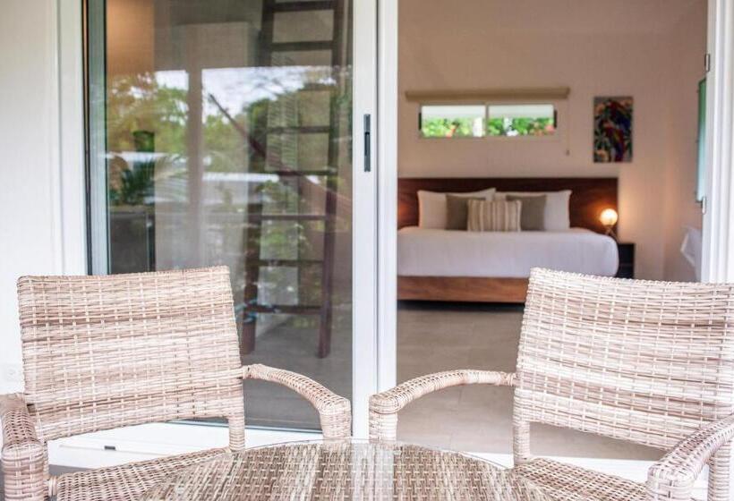 适合残疾人士使用的带超级大床的标准间, Aves Hotel Montezuma