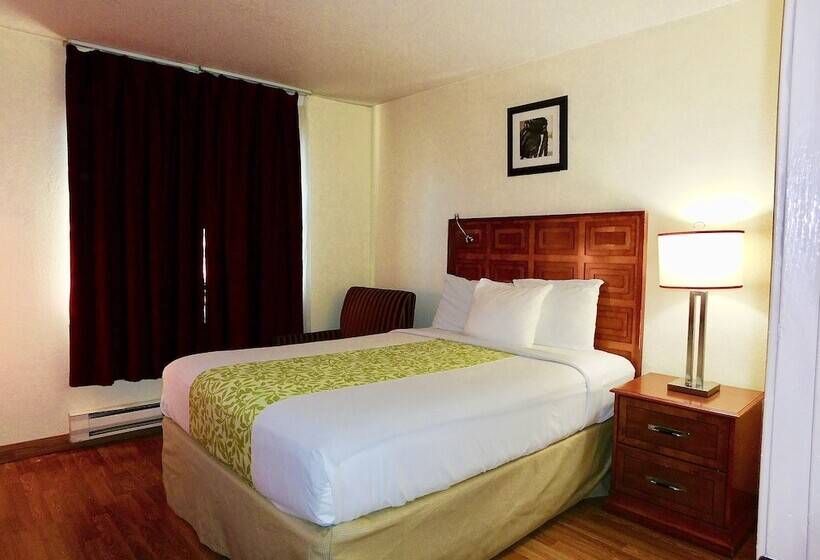豪华套房, Americas Best Value Inn & Suites Anchorage Airport
