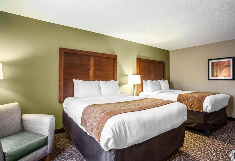 Номер Стандарт, Comfort Inn & Suites Kannapolis   Concord