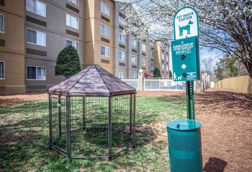 Номер Стандарт, Comfort Inn & Suites Kannapolis   Concord