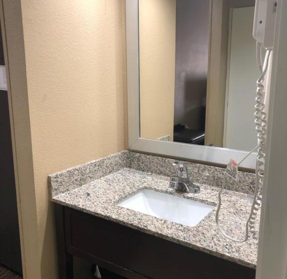 Номер Стандарт Кровать Кинг Адаптированный для Инвалидов, Comfort Inn & Suites Kannapolis   Concord