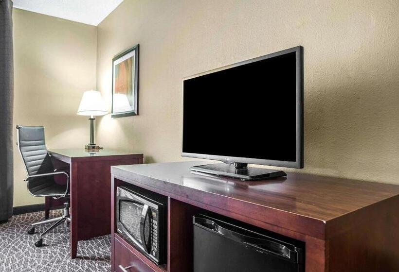 Номер Стандарт Адаптированный для Инвалидов, Comfort Inn & Suites Kannapolis   Concord