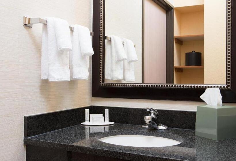 Номер Стандарт Кровать Кинг Адаптированный для Инвалидов, Comfort Inn & Suites Olathe   Kansas City