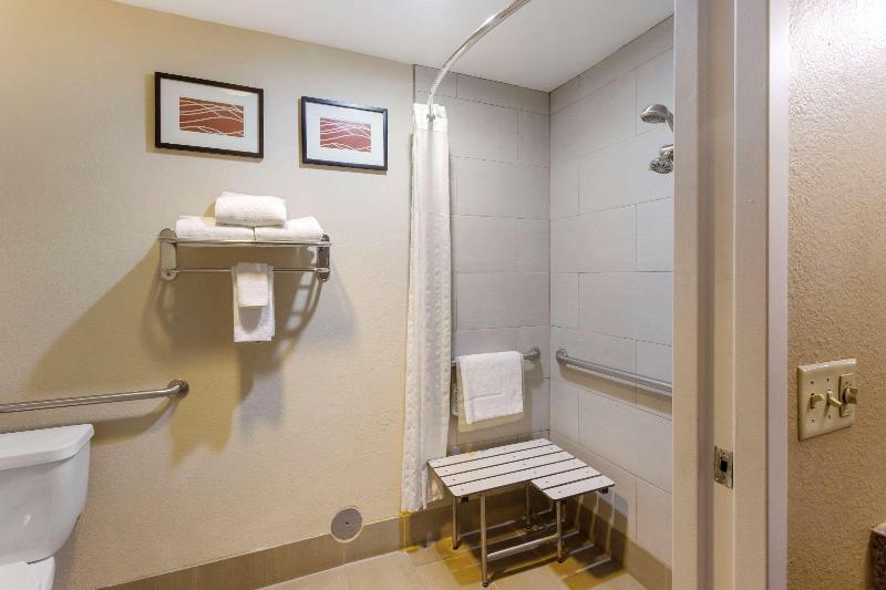 스탠다드 룸 킹사이즈 침대, Comfort Inn & Suites Woods Cross  Salt Lake City North
