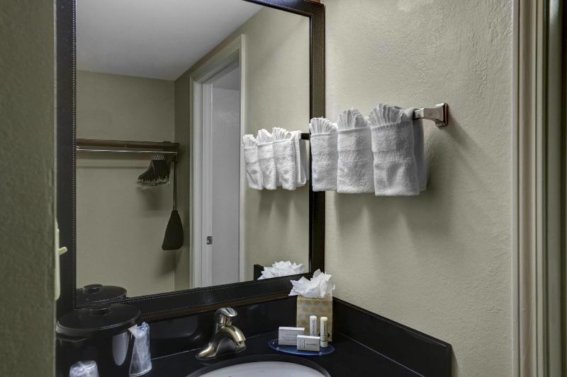 キングサイズベッドのスタンダードルーム, Fairfield Inn & Suites By Marriott Atlanta Alpharetta