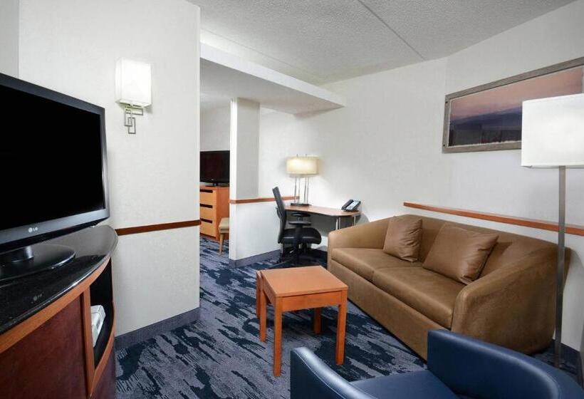 带大床的标准工作室, Fairfield Inn & Suites By Marriott Charlottesville North