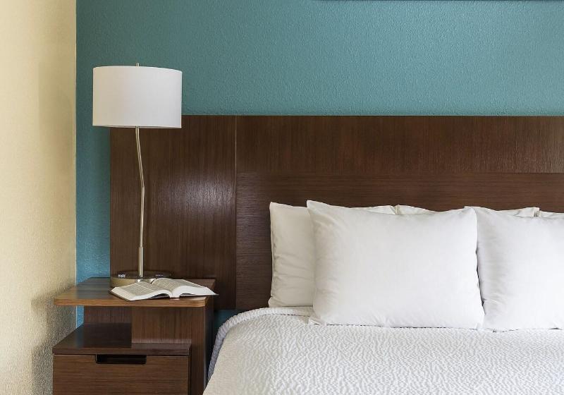 Стандартный Номер Кровать Кинг, Fairfield Inn & Suites Grand Rapids