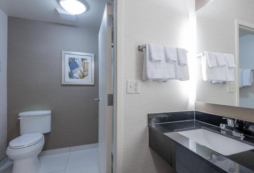 Quarto Estandar, Fairfield Inn & Suites Savannah I95 South