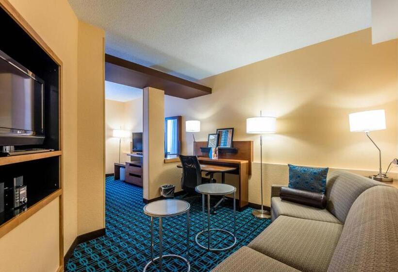 Estúdio standard Cama King, Fairfield Inn & Suites Savannah I95 South