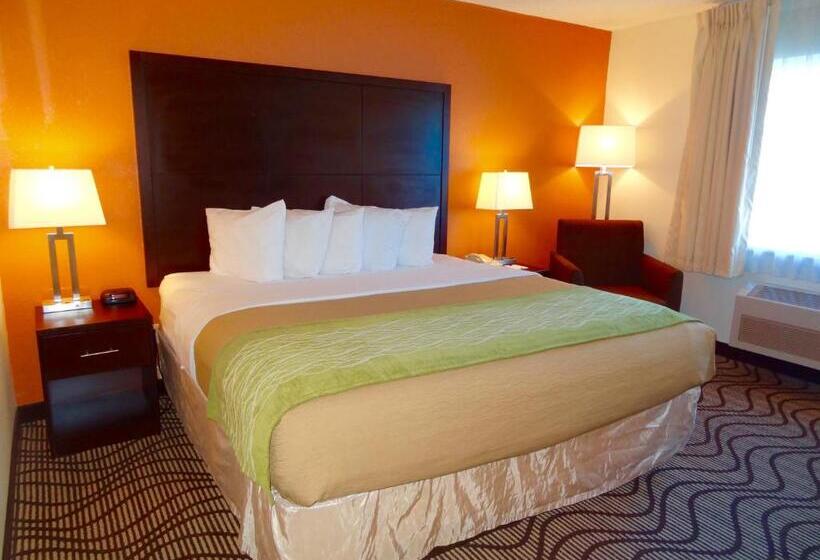 스탠다드 룸 킹사이즈 침대, Ramada By Wyndham Coeur D'alene