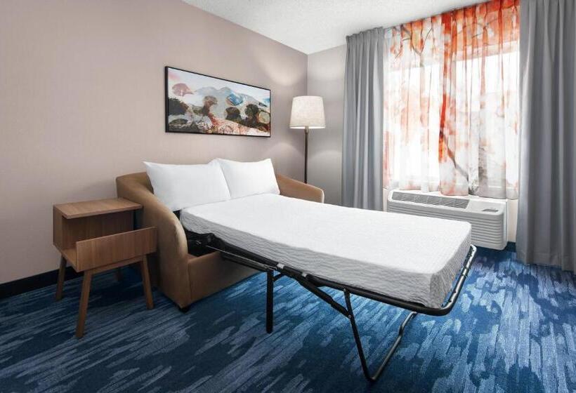 Стандартный Номер Кровать Кинг, Fairfield Inn & Suites Denver Airport