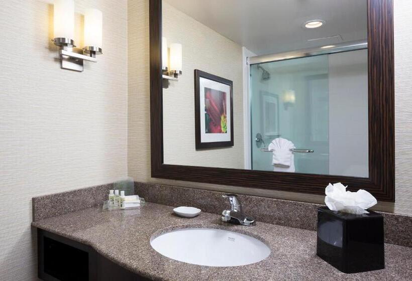 اتاق استاندارد با تخت بزرگ, Holiday Inn Wichita East I 35, An Ihg
