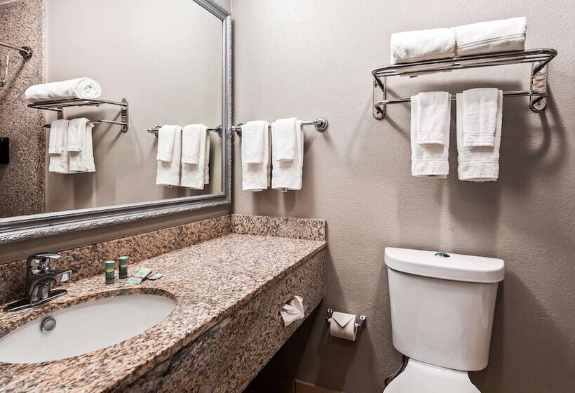 Номер Стандарт 2 Двуспальные Кровати, Best Western Auburn/opelika Inn