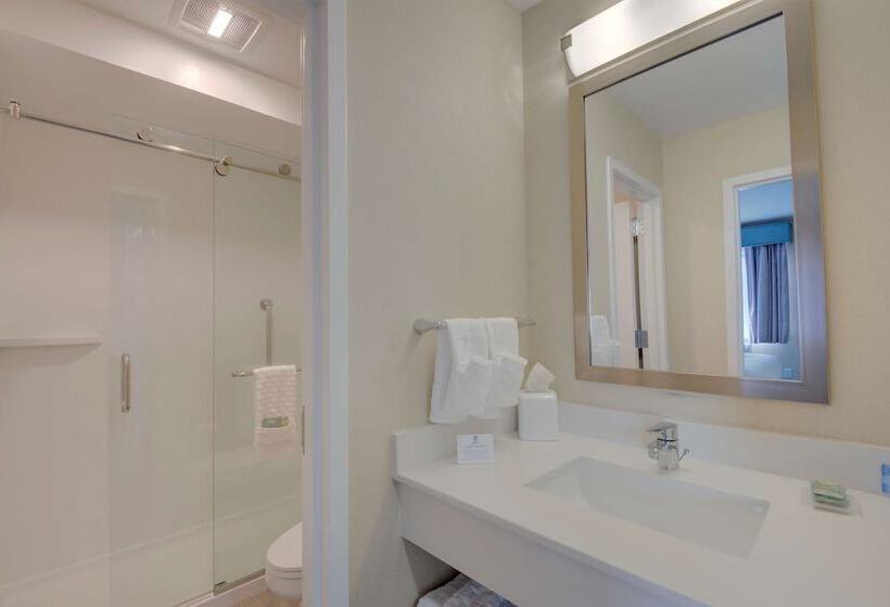 Люкс, Best Western Hampshire Inn & Suites