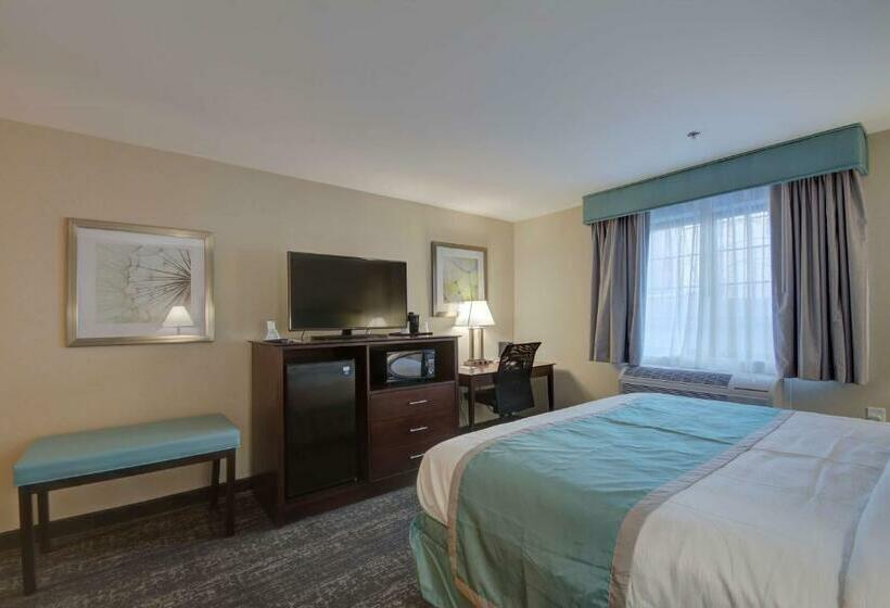 Номер Стандарт Кровать Кинг Адаптированный для Инвалидов, Best Western Hampshire Inn & Suites