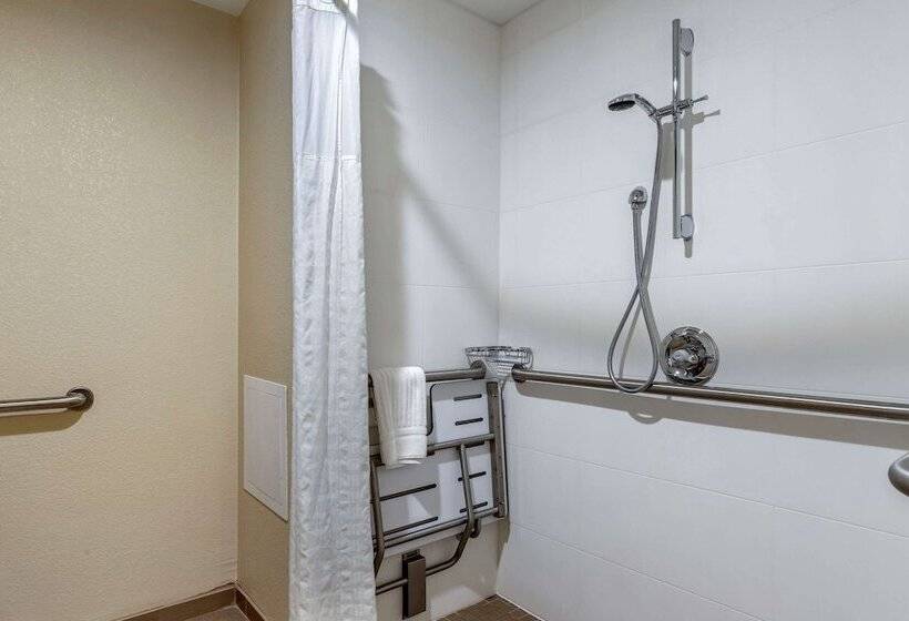 Номер Стандарт Двуспальная Кровать Адаптированный для Инвалидов, Comfort Inn Near Greenfield Village