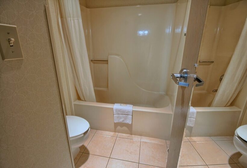 Номер Стандарт 2 Двуспальные Кровати, Comfort Inn Near Greenfield Village