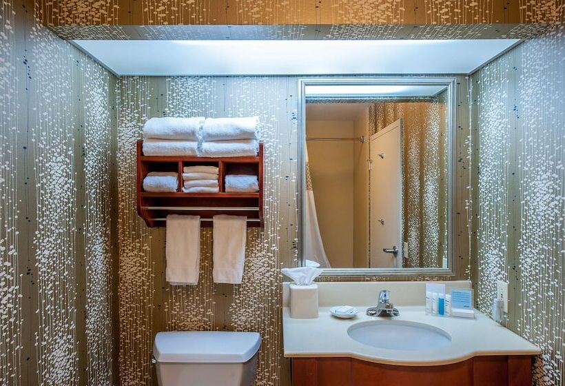 스탠다드 룸 더블 침대 2개, Hampton Inn By Hilton Bowling Green