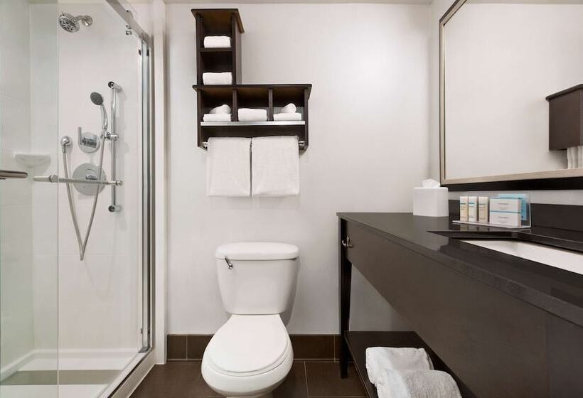 스탠다드 룸, Hampton Inn Denverwest/golden