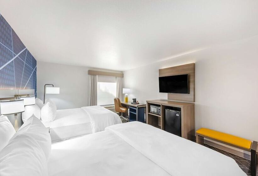 带2个双人床的标准工作室, Comfort Inn   Killeen Near Fort Cavazos