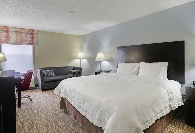 Standaard Studio met Tweepersoonsbed, Hampton Inn Nashvillei24 Hickory Hollow