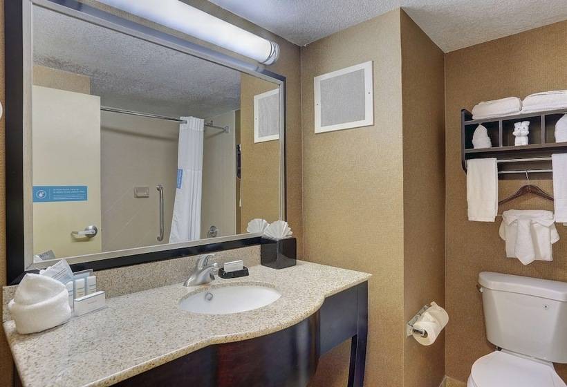 Standaardkamer met Kingsize Bed, Hampton Inn Nashvillei24 Hickory Hollow