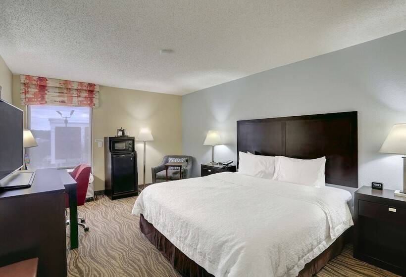 Standaardkamer met Kingsize Bed, Hampton Inn Nashvillei24 Hickory Hollow