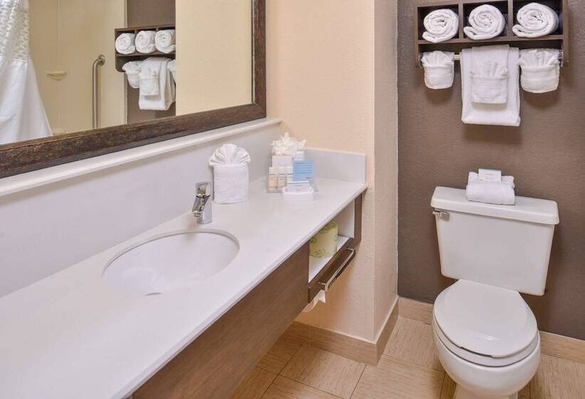 חדר סטנדרט, Hampton Inn Closest To Universal Orlando