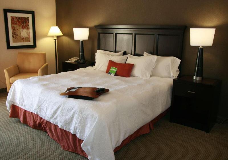 Стандартный Номер Кровать Кинг, Hampton Inn Salt Lake City Murray
