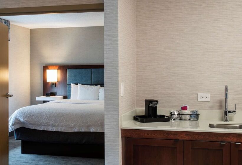 스위트 킹사이즈 침대, Hampton Inn & Suites Chicago/lincolnshire