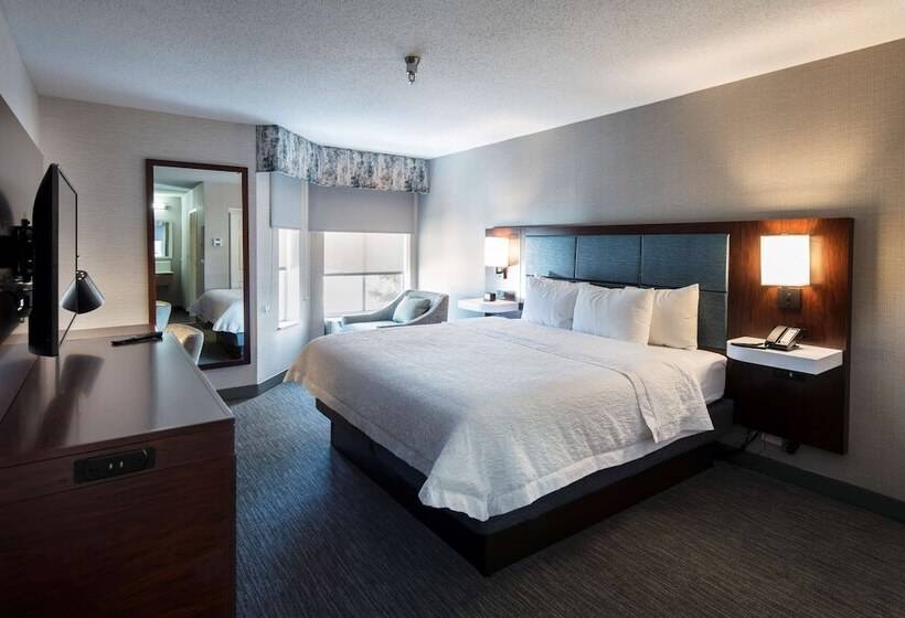 스위트, Hampton Inn & Suites Chicago/lincolnshire