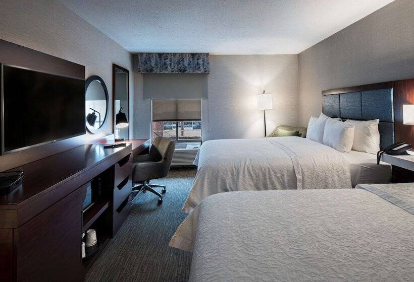장애인을 위한 스탠다드 룸, Hampton Inn & Suites Chicago/lincolnshire