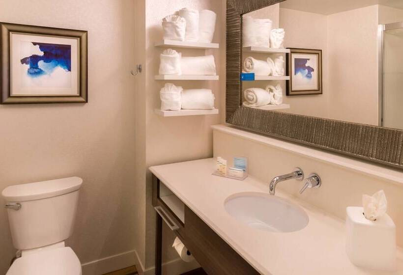 豪华房间, Hampton Inn & Suites Orlando/east Ucf Area