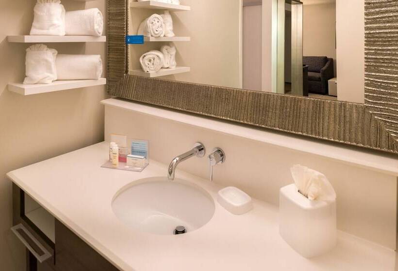 豪华房间, Hampton Inn & Suites Orlando/east Ucf Area