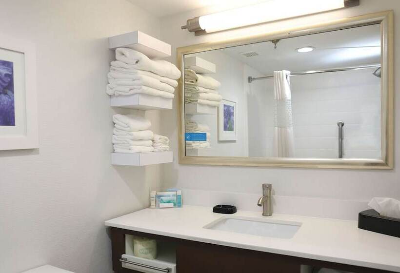 Номер Стандарт 2 Двуспальные Кровати, Hampton Inn Sumter