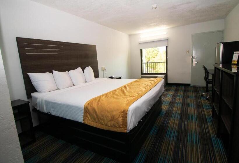 Номер Стандарт Кровать Кинг Адаптированный для Инвалидов, Sweet Dream Inn  University Park