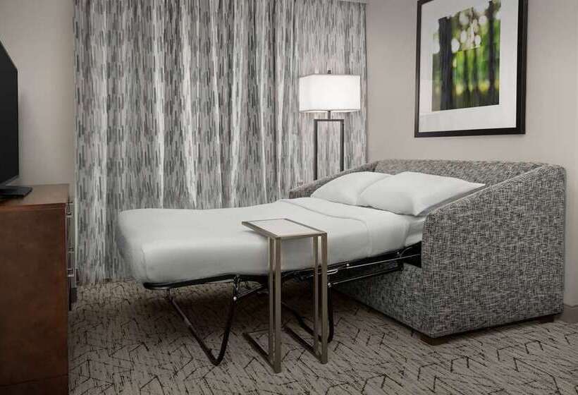 سوئیت با تخت بزرگ, Doubletree By Hilton Washington Dc North/gaithersburg