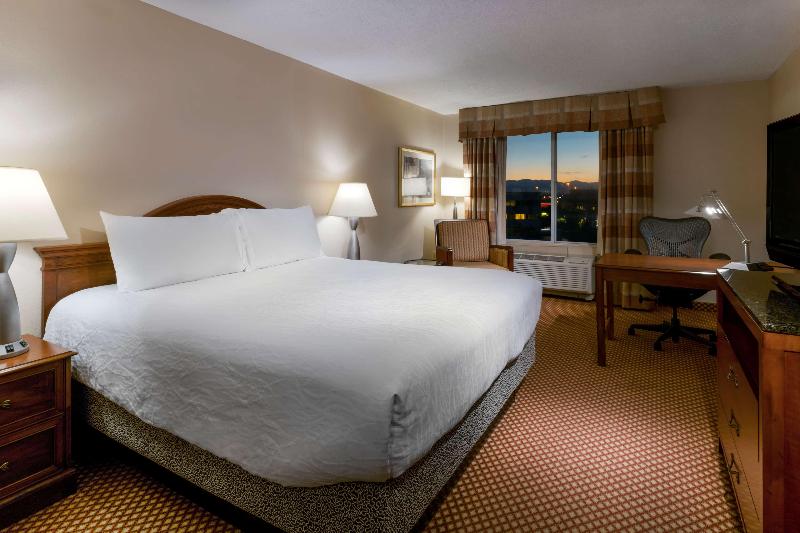 Люкс Кровать Кинг, Hilton Garden Inn Denver Airport