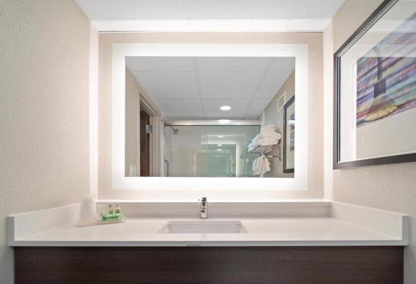 Стандартный Номер Кровать Кинг, Holiday Inn Kearney, An Ihg