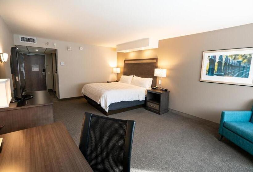 Номер Стандарт Кровать Кинг Адаптированный для Инвалидов, Holiday Inn Kearney, An Ihg