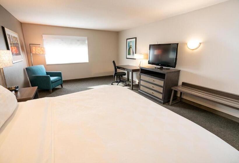 Номер Стандарт Кровать Кинг Адаптированный для Инвалидов, Holiday Inn Kearney, An Ihg