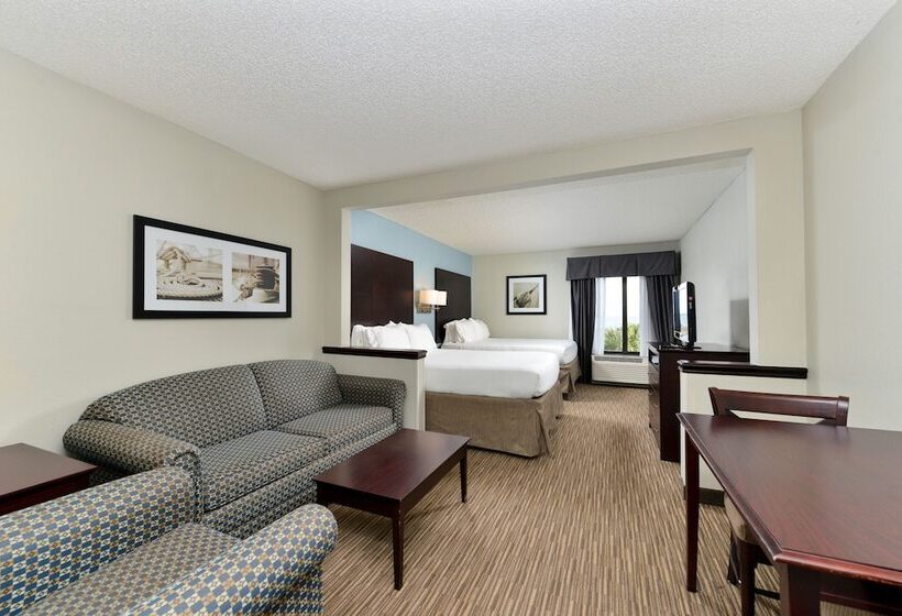 套房, Holiday Inn Express Hotel & Suites Tampa Rocky Point Island, An Ihg
