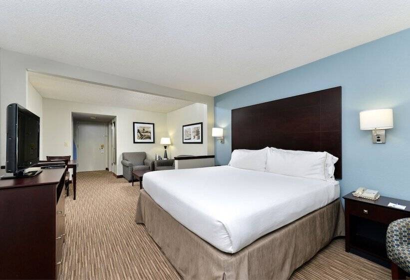 可观景的套房, Holiday Inn Express Hotel & Suites Tampa Rocky Point Island, An Ihg
