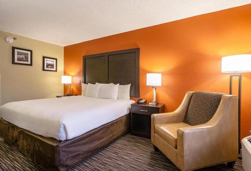 Стандартный Номер Кровать Кинг, Clarion Inn Biltmore Village