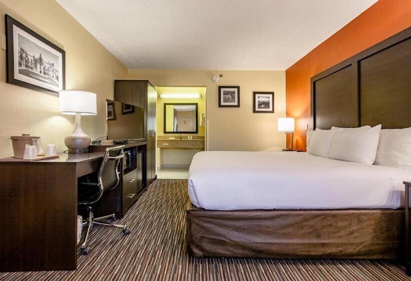 Quarto Estandar Cama King, Clarion Inn Biltmore Village