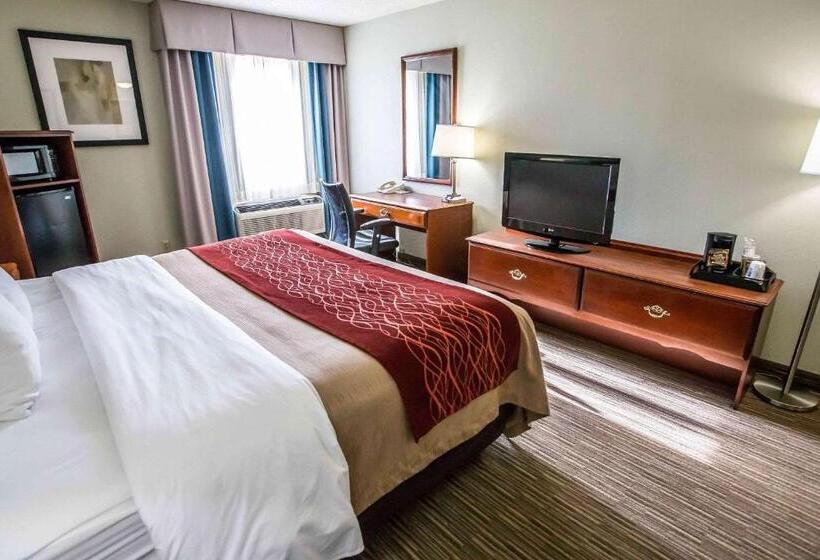 Номер Стандарт Кровать Кинг Адаптированный для Инвалидов, Comfort Inn
