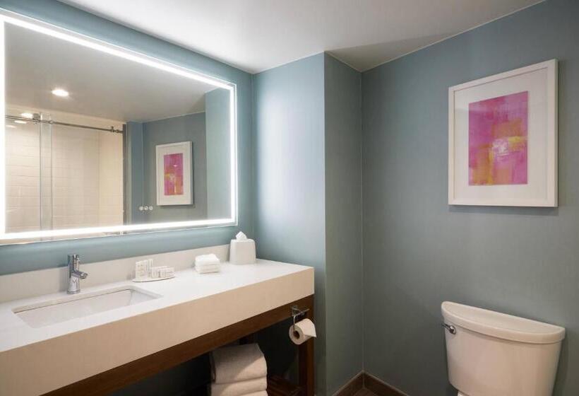 Номер Deluxe Кровать Кинг, Fairfield Inn & Suites By Marriott Camarillo
