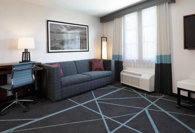 Люкс Executive Кровать Кинг, Fairfield Inn & Suites By Marriott Camarillo