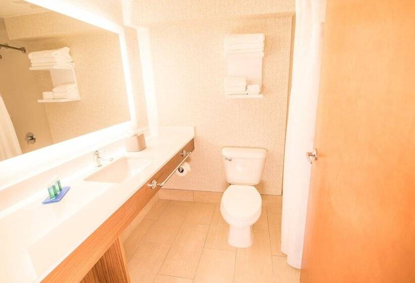 Номер Стандарт, Holiday Inn Express Atlanta Stone Mountain, An Ihg